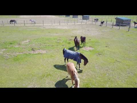 DJA Mavic Pro. Bojadła i Milsko