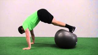 598. Stability Ball Pikes