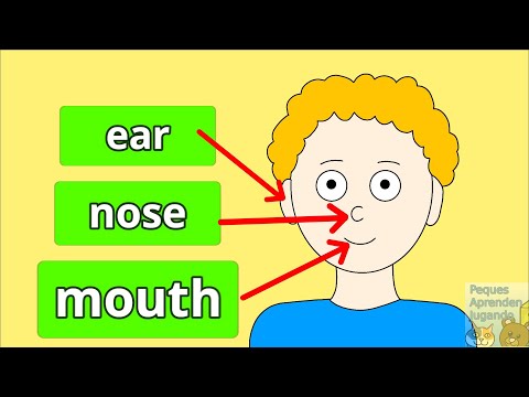 Partes del cuerpo en inglés y español para niños  Video de Peques Aprenden Jugando