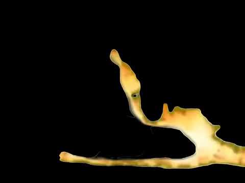 The Backyardigans Fly Girl Alternative Ending