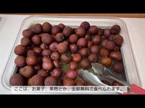 国際交流学科 スタジオ動画コンテスト優秀作品賞　大阪で大人気の海底捞火鍋