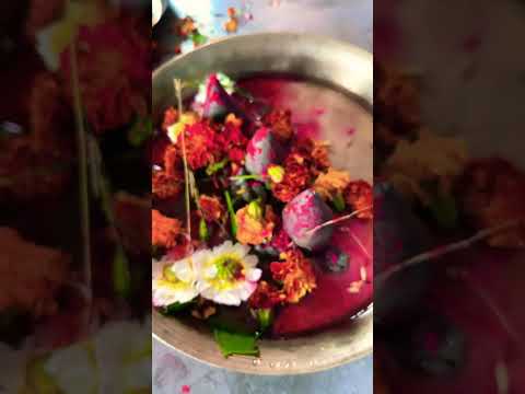 ￼हरहर🙏🙏🙏🙏🙏 #viralvideo #trending #trendingvideo #viral #rinki #vlog