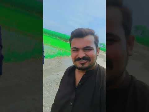 dawat #religion hashtag#nature #amazonrainforestanimals #amazon