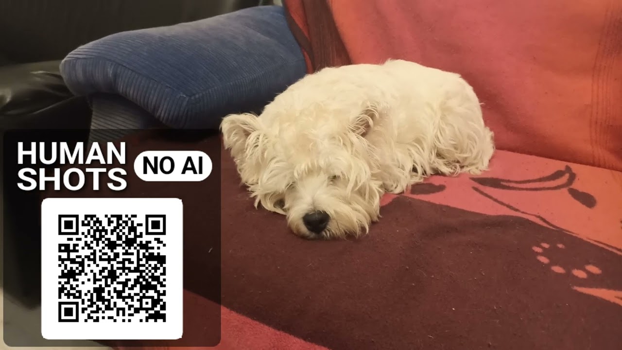 RealVideo 2026-01-11 18:41