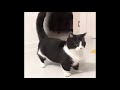 Watch Garrett Dance 1 Hour