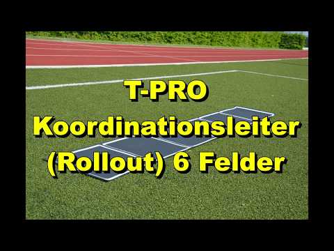 T-PRO Koordinationsleiter (Rollout) 6 Felder