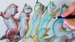 Sneak Peek of Flipping Cat Math | SED 58 Intro