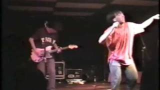 Ween - Common Bitch