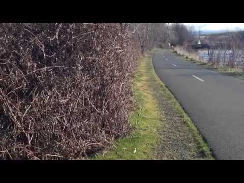 Mill Creek Levee Maintenance 2015-2016