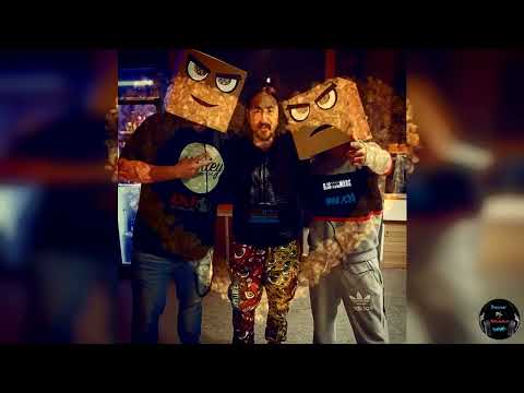 Djs From Mars vs Steve Aoki - Anniversary 20 Years 2002/2022 - ( Banner Dj-Nounours Bootleg)