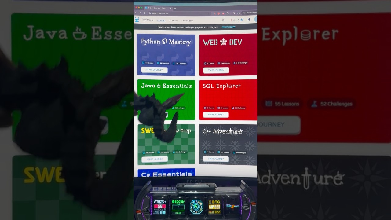 Learn coding step by step. #learnwebdev #learnhtml #learntocode #learncoding