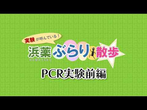 【横浜薬科大学】PCR実験【前編】