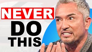 Cesar Millan on the Biggest Mistake Dog Owners Make | Ep. 162