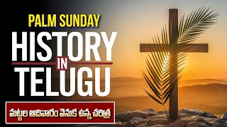 మట్టల ఆదివారం వెనుక ఉన్న చరిత్ర | Roman Rule Problems | Palm Sunday History in Telugu