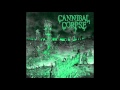 08 - Icepick Lobotomy - Cannibal Corpse 