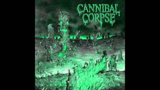 08 - Icepick Lobotomy - Cannibal Corpse