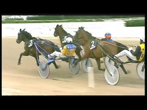 Trotto 31/01/2020 - 2ª corsa