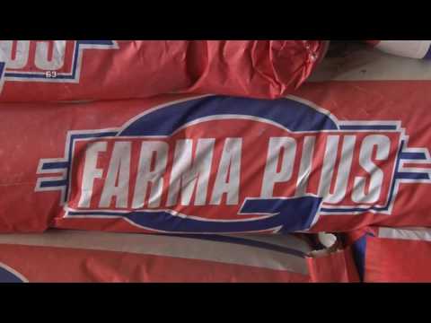 Kako hraniti junad GEBI koncentratima -  kako koncentrat prilagoditi kabastoj ishrani