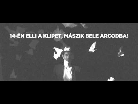 FLUOR FEAT. ECKÜ - KÖPKÖDE (PARTYÁLLAT RAP) - TEASER