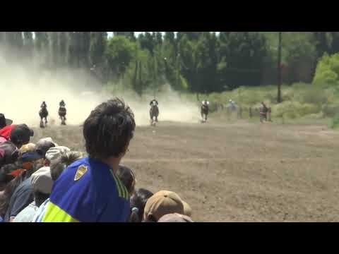 INDIO TORO  Club Hipico "Cabo Alarcon" - Picun Leufu  -  15-01-2023