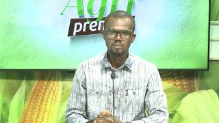 Agripreneur : Engrais, semences..., des mesures du gouvernement pour soutenir le monde rural-BF1TV
