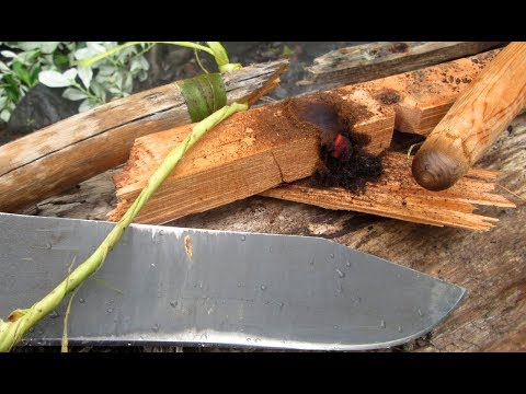 Quick & Easy Natural Cordage for Bow Drill