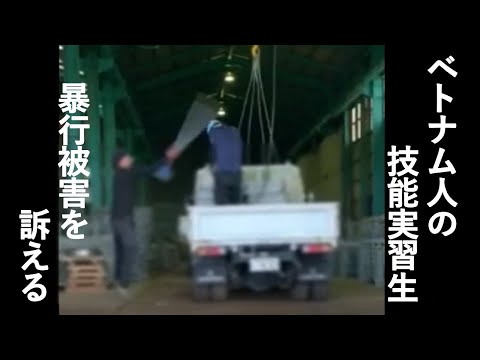 「ろっ骨3本折られた」ベトナム人技能実習生が訴えた暴行被害とは　取材で詳細語る：朝日新聞GLOBE＋