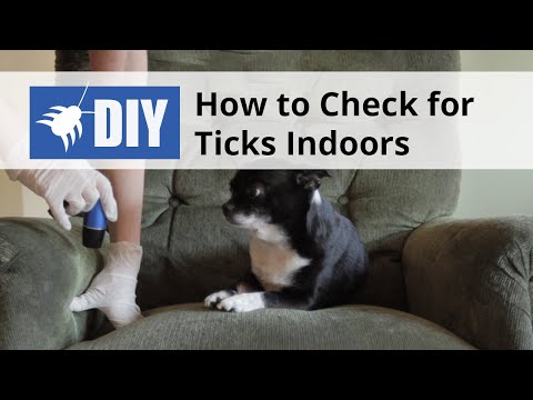  How to check for Ticks Indoors Video 