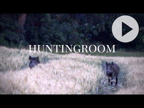 Weizenschweine 2020 - A HUNTINGROOM Story #26