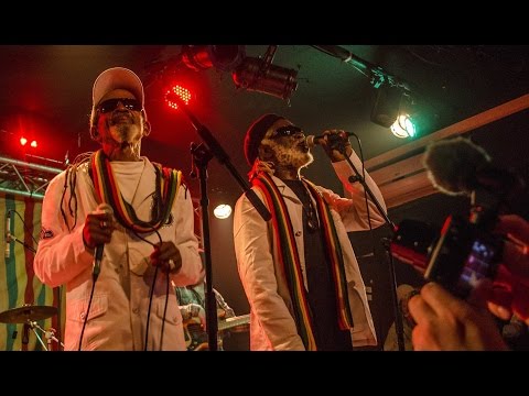 Love Is The Key - The Viceroys @ New Morning, Paris 2015