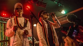 Love Is The Key - The Viceroys @ New Morning, Paris 2015