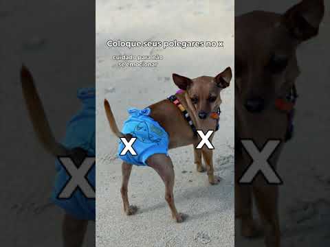 #shorts COLOQUE SEUS DEDOS NO X
