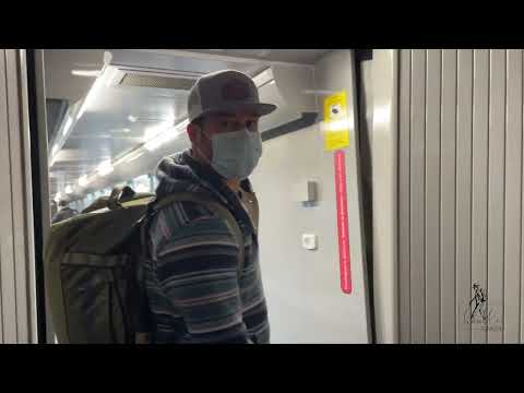 Foggy Footpath: Citra Cryo, El Dorado Cryo, Mosaic