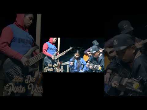 Los del porte único pacas desaliños