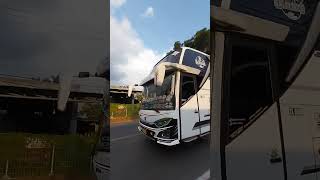 Download lagu Ada yg tau basuri v berapa? #basuri #telolet #teloletbus #teloletbasuri #teloletviral #fyp #fypシ mp3