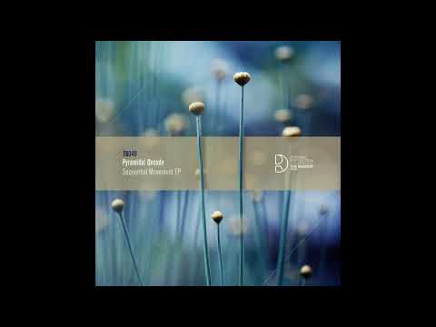 Pyramidal Decode -  Coagulazione [TN049]