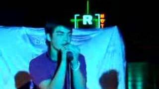 Hippopotamus Jonas Brothers
