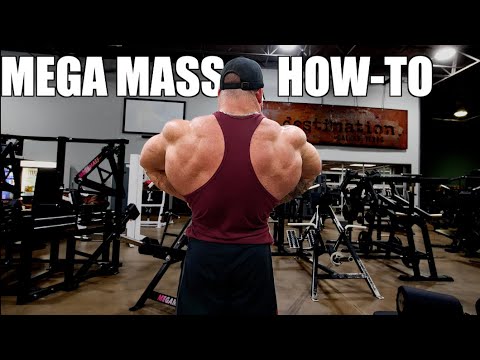 MEGAMASS STRENGTH COMING TO IRELAND - Image 2
