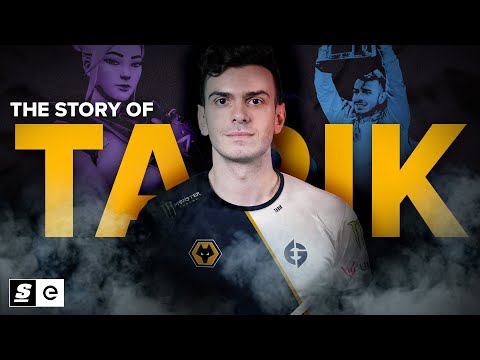 The Story of Tarik: The Content King