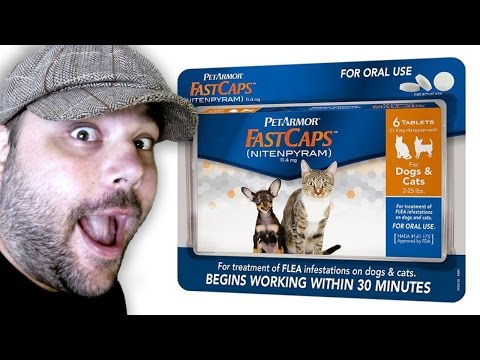 PetArmor FastCaps - (Best) Flea Pills for Cats Review