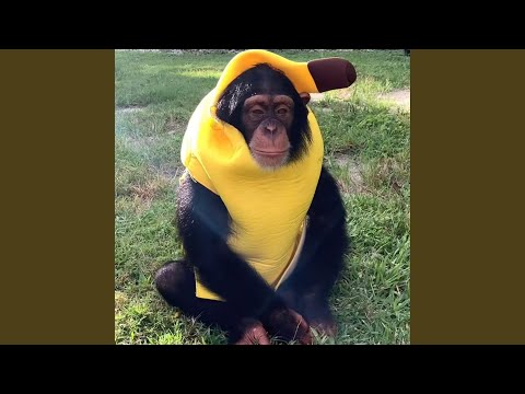 Behind Door (feat. GGM Kimbo)