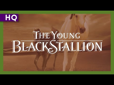 The Young Black Stallion Movie Trailer