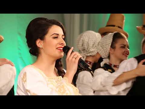 Colaj din Chioar - Ansamblul Folcloric Nationa "Transilvania"
