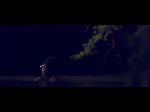 Brooke Waggoner - Ovenbird (Official Music Video)