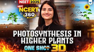 NEET 2025 Biology: Photosynthesis in Higher Plants | Plant Physiology One Shot  | Seep Pahuja