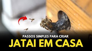 Miniatura do vídeo
