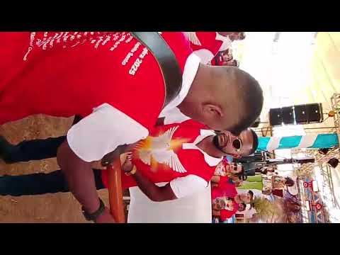 Romaria da Sucupira. Tradição do Tocantins.