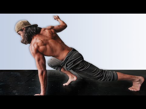 20 Flow Animal Movements