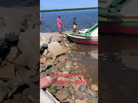 Mangue Seco Jandaíra - Bahia,