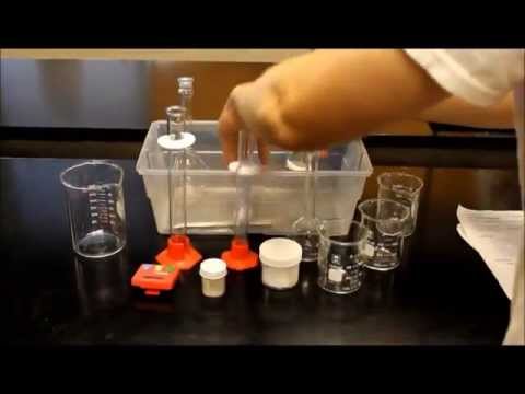 Lab 19 - Rates of Reactions Demo Video